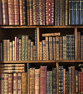 Shelf of leather Bindings at The Gently Mad Book Shop