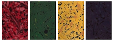 The range of handmade marbles by Louise Brockman